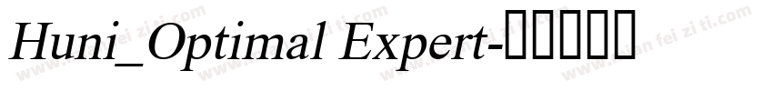 Huni_Optimal Expert字体转换